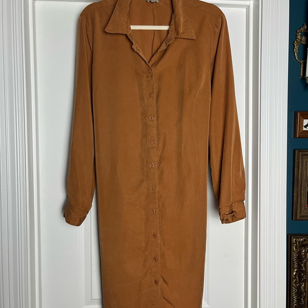 Cremieux Button Down Tie Dress